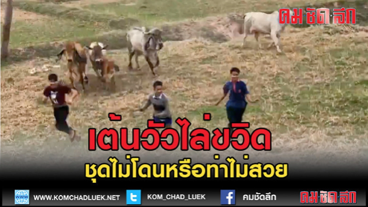 (คลิปเด็ด)เต้นวัวไล่ขวิด ชุดไม่โดนหรือท่าไม่สวย