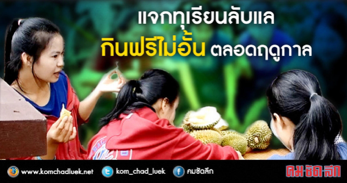 สนมั้ย !? ทุเรียนลับแลกินฟรี-ไม่อั้น สนมั้ย !? ทุเรียนลับแลกินฟรี-ไม่อั้น