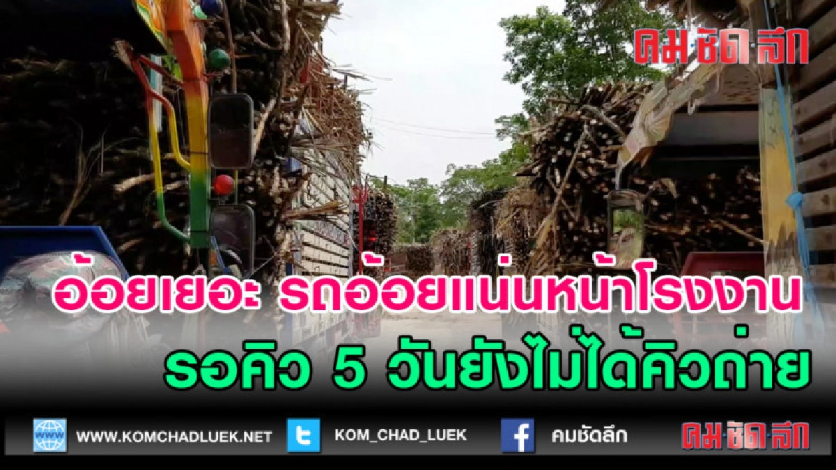 (คลิปข่าว)รอคิวรถอ้อยแน่นหน้าโรงงาน5วันยังไม่ได้คิวถ่าย