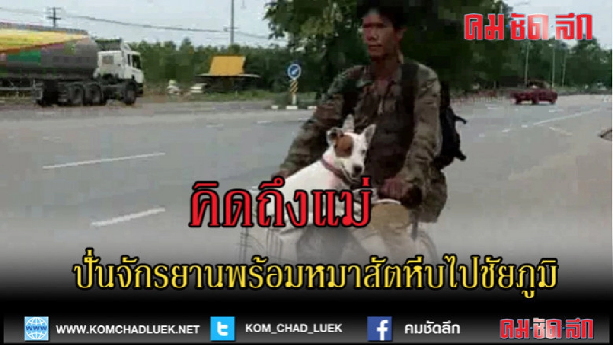 (คลิปข่าว)คิดถึงแม่อุ้มหมาปั่นจากสัตหีบชัยภูมิ