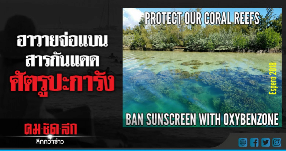 ฮาวายจ่อแบนสารกันแดดทำลายปะการังรัฐแรก ฮาวายจ่อแบนสารกันแดดทำลายปะการังรัฐแรก