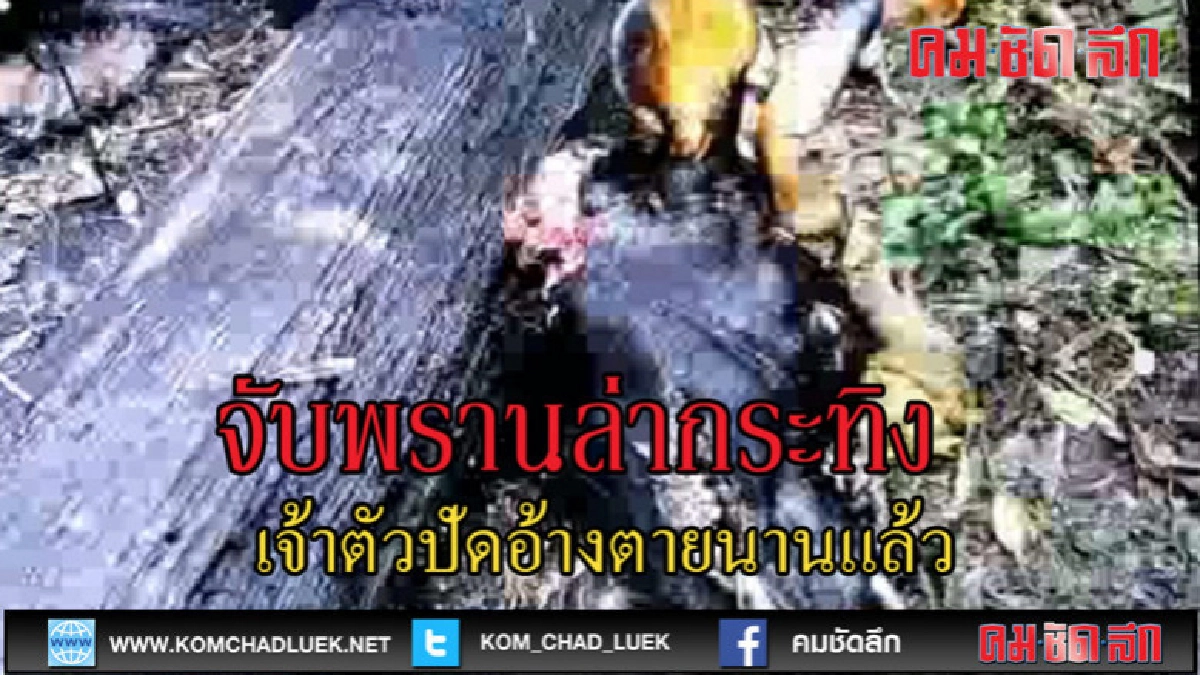 (คลิปข่าว)จับพรานล่ากระทิงบนเขาใหญ่