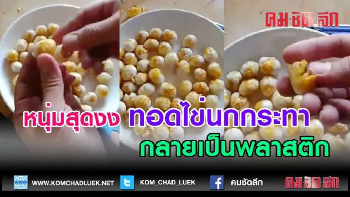 (คลิปข่าว) หนุ่มสุดงง ซื้อไข่นกกระทามาทอดกิน กลายเป็นพลาสติก (คลิปข่าว) หนุ่มสุดงง ซื้อไข่นกกระทามาทอดกิน กลายเป็นพลาสติก