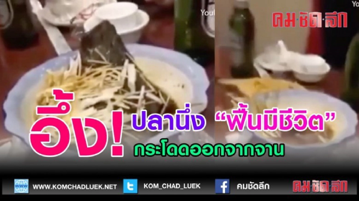 (คลิปข่าว) อึ้ง! ปลานึ่งซีอิ๊วกระโดดออกจากจาน