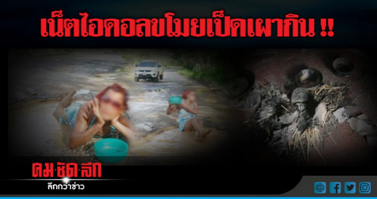วงจรปิดจับภาพเน็ตไอดอลขโมยเป็ด !! วงจรปิดจับภาพเน็ตไอดอลขโมยเป็ด !!
