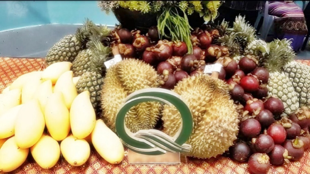 ไทยโชว์"QR Trace"เกาหลีดันส่งออกสินค้าเกษตร ไทยโชว์"QR Trace"เกาหลีดันส่งออกสินค้าเกษตร