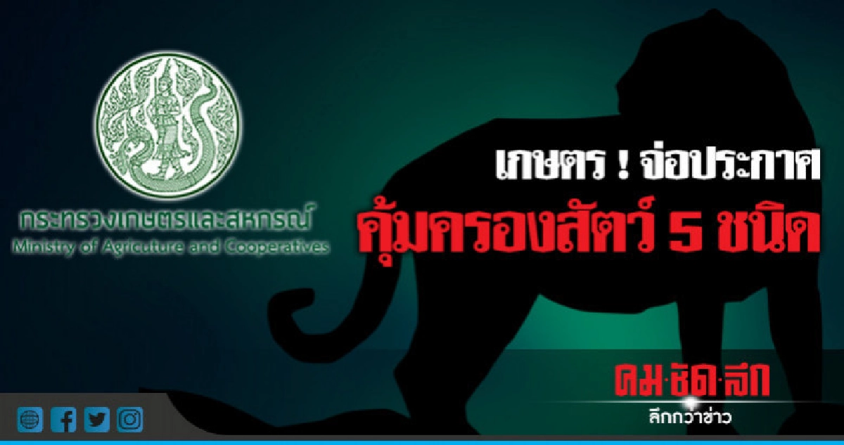 เกษตร ! จ่อประกาศคุ้มครองสัตว์ 5 ชนิด เกษตร ! จ่อประกาศคุ้มครองสัตว์ 5 ชนิด