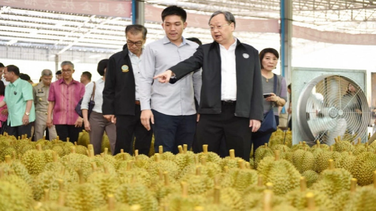 "พาณิชย์"ดูความพร้อมส่งทุเรียน"อาลีบาบา"