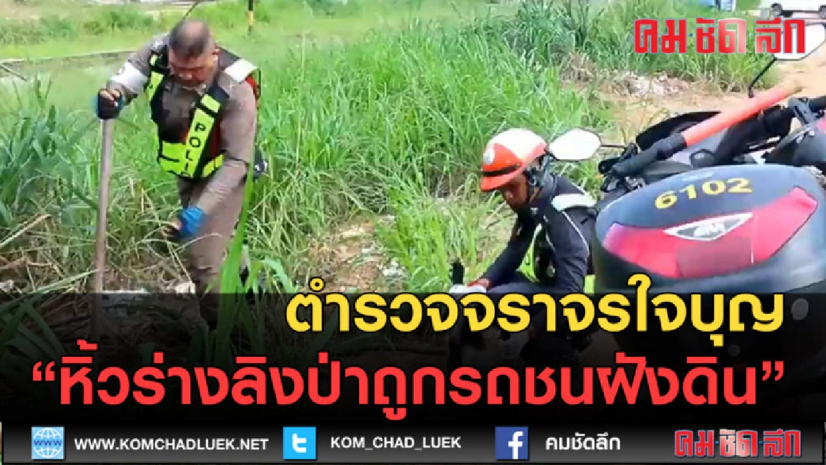 (คลิปข่าว) ตำรวจจราจรใจบุญ หิ้วร่างลิงป่า ฝังดิน (คลิปข่าว) ตำรวจจราจรใจบุญ หิ้วร่างลิงป่า ฝังดิน