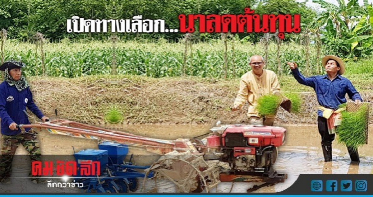 เปิดทางเลือก.....นาลดต้นทุน เปิดทางเลือก.....นาลดต้นทุน