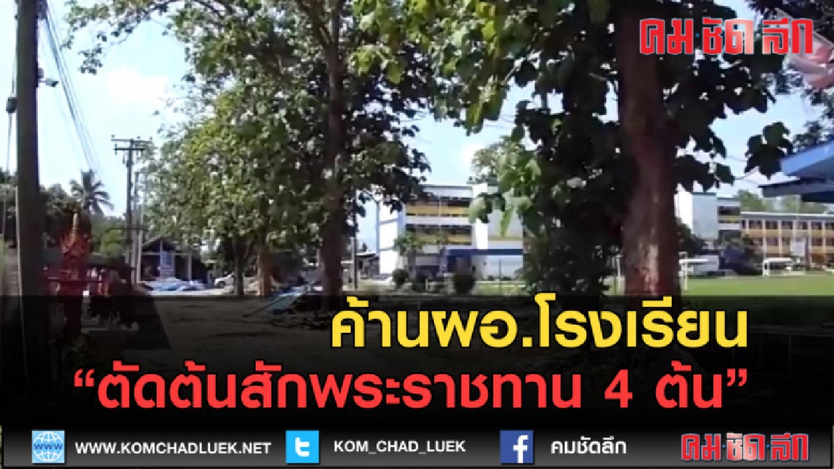 (คลิปข่าว) ค้านผอ.โรงเรียนตัดต้นสักพระราชทาน 4 ต้น