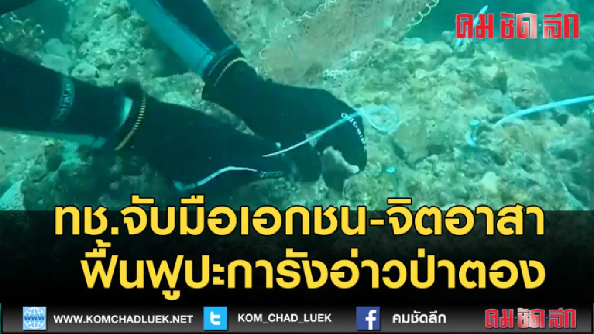(คลิปข่าว) ทช.จับมือเอกชน-จิตอาสา ฟื้นฟูปะการังอ่าวป่าตอง