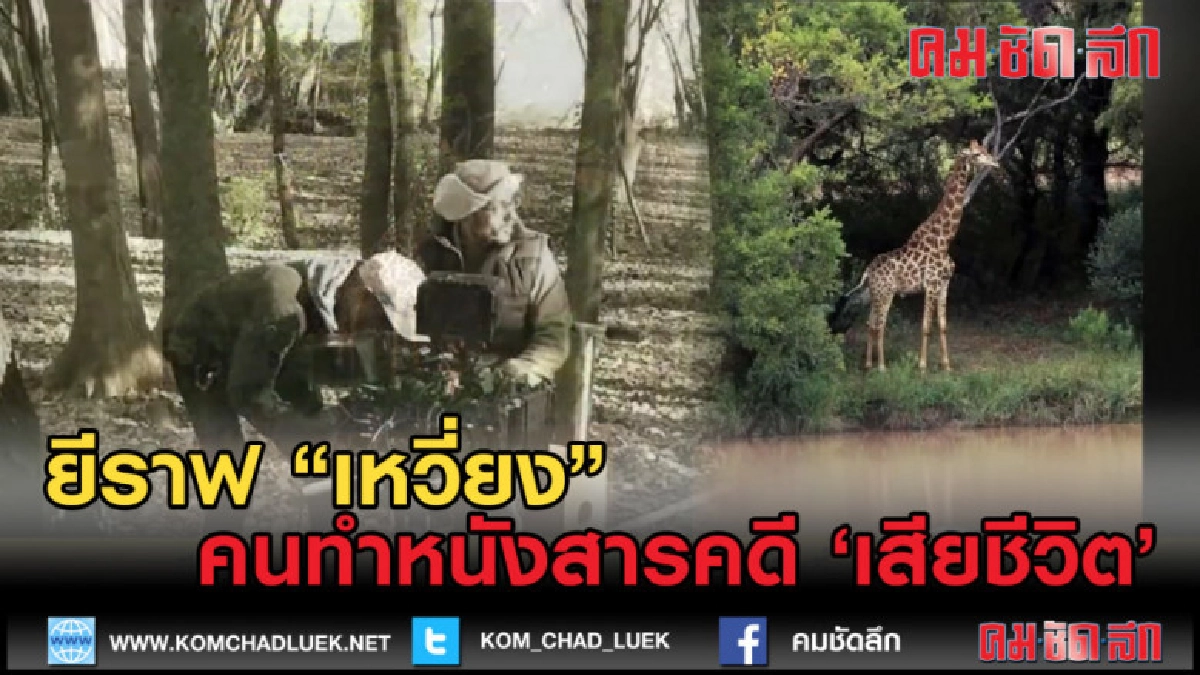 (คลิปข่าว) ยีราฟเหวี่ยง คนทำหนังสารคดีเสียชีวิต (คลิปข่าว) ยีราฟเหวี่ยง คนทำหนังสารคดีเสียชีวิต