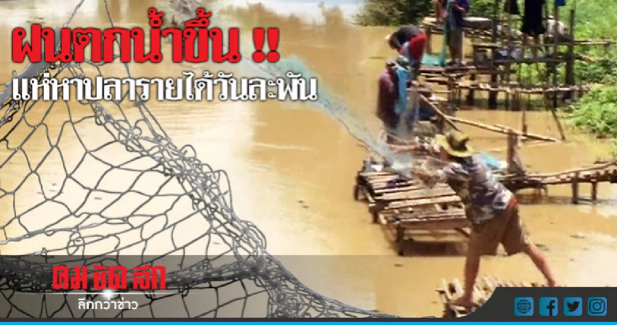 ฝนตกน้ำขึ้นทอดแหหาปลารายได้ดี !! ฝนตกน้ำขึ้นทอดแหหาปลารายได้ดี !!