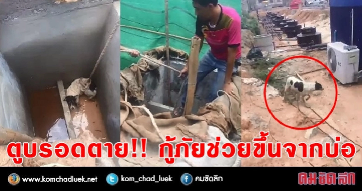 นาทีชีวิต !! ช่วยตูบตกบ่อลึก 7 เมตร นาทีชีวิต !! ช่วยตูบตกบ่อลึก 7 เมตร