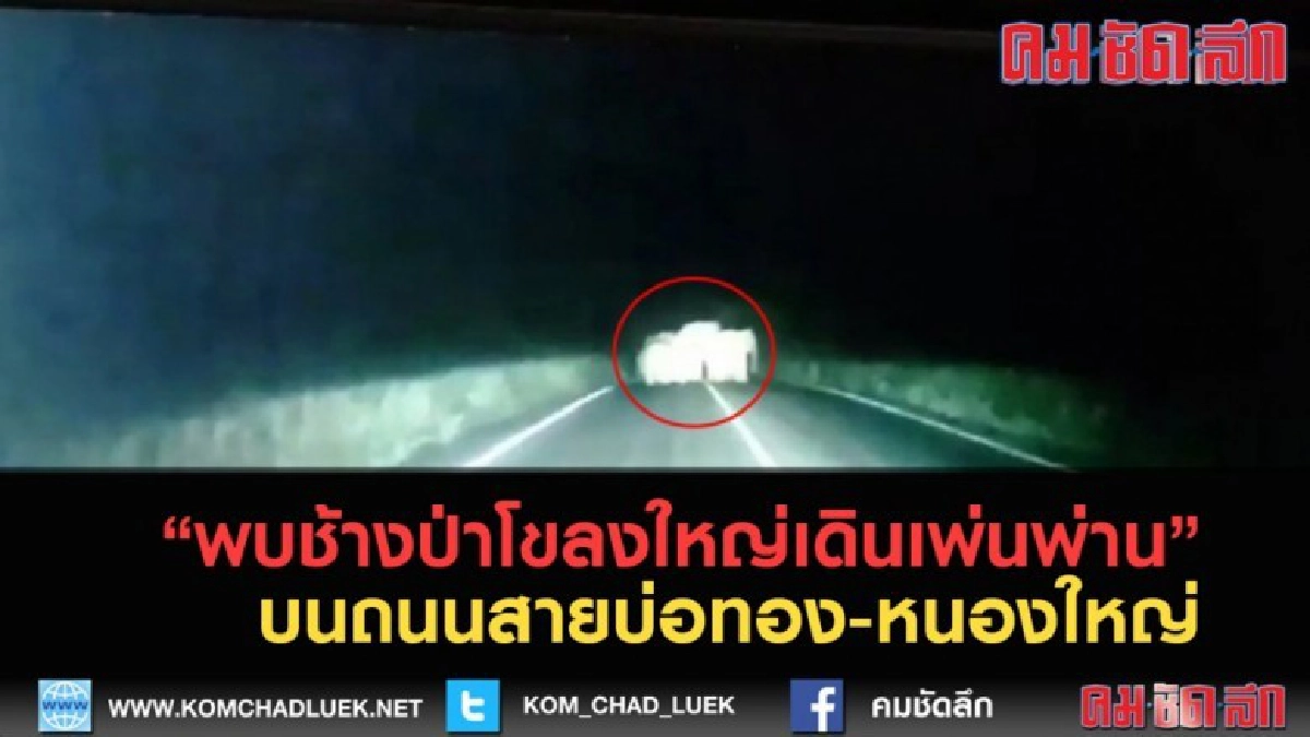 (คลิปข่าว) พบช้างป่าโขลงใหญ่เดินเพ่นพ่าน (คลิปข่าว) พบช้างป่าโขลงใหญ่เดินเพ่นพ่าน