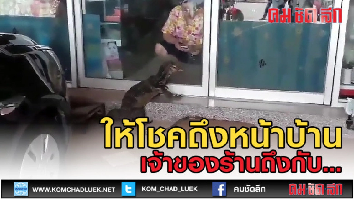 (คลิปข่าว) ร้านยาผวา เจอ ลูกค้า4ขา หน้าตาแบบนี้ (คลิปข่าว) ร้านยาผวา เจอ ลูกค้า4ขา หน้าตาแบบนี้