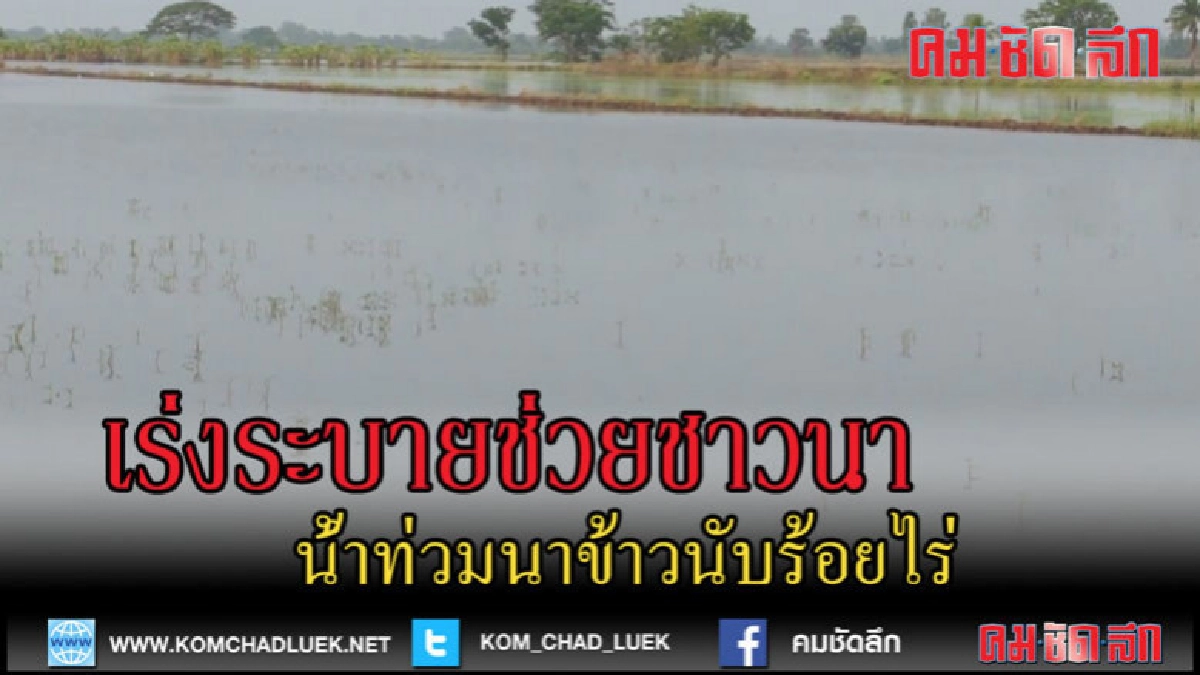 (คลิปข่าว)เร่งระบายน้ำช่วยชาวนา