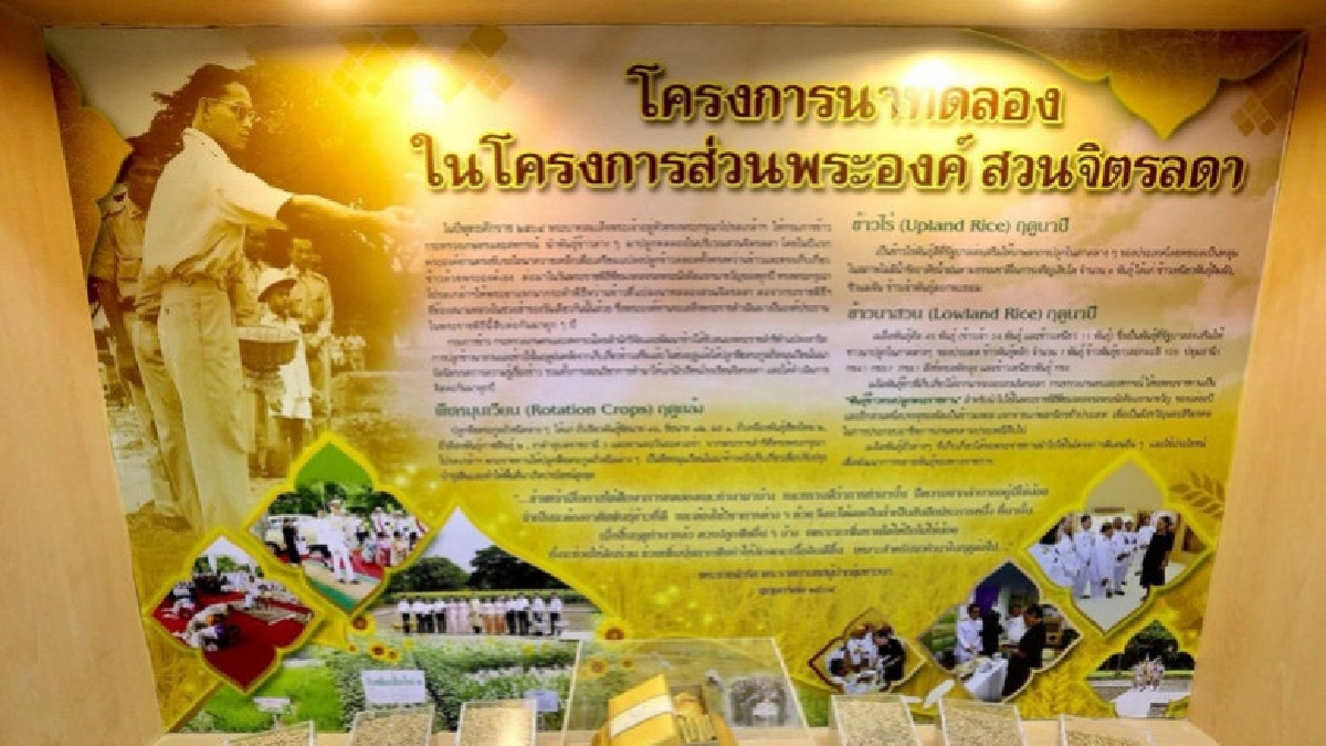 ร.10 พระราชทานพันธุ์ข้าวทรงปลูก 3.61 แสนซอง วันพืชมงคล