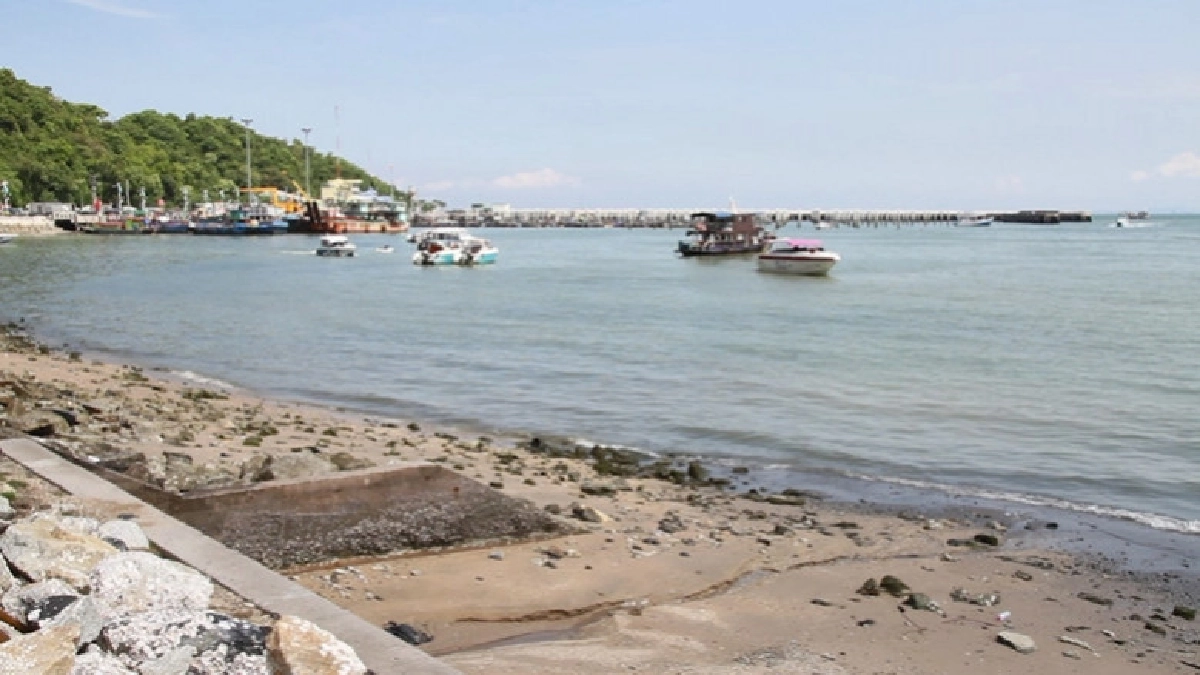 ฮือฮา! พบปลาโลมาสีชมพูโผล่เล่นน้ำริมหาดจอมเทียน ฮือฮา! พบปลาโลมาสีชมพูโผล่เล่นน้ำริมหาดจอมเทียน