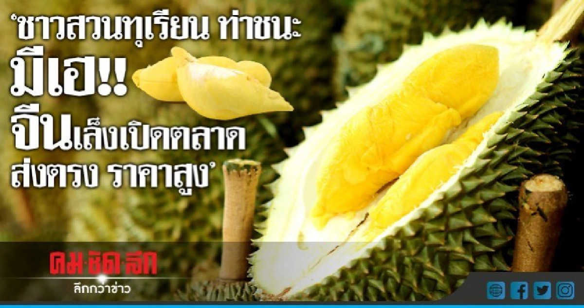 ชาวสวนทุเรียน ท่าชนะ มีเฮ!! จีนเล็งเปิดตลาดส่งตรง ราคาสูง ชาวสวนทุเรียน ท่าชนะ มีเฮ!! จีนเล็งเปิดตลาดส่งตรง ราคาสูง