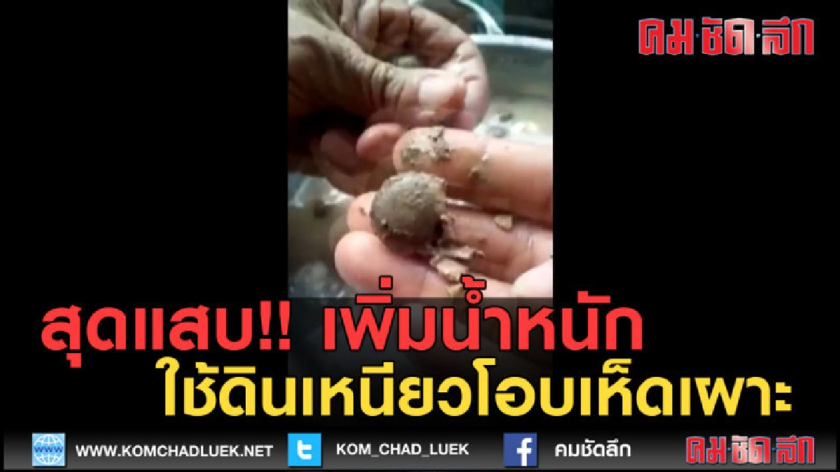 (คลิปข่าว) แม่ค้าใช้ดินเหนียวโอบเห็ดเผาะหวังเพิ่มน้ำหนัก