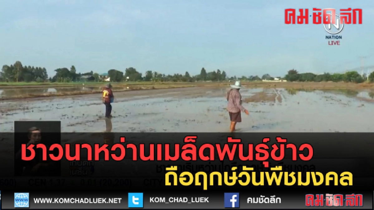 (คลิปข่าว) ชาวนาชัยนาทหว่านเมล็ดพันธุ์ข้าว ถือฤกษ์วันพืชมงคล (คลิปข่าว) ชาวนาชัยนาทหว่านเมล็ดพันธุ์ข้าว ถือฤกษ์วันพืชมงคล
