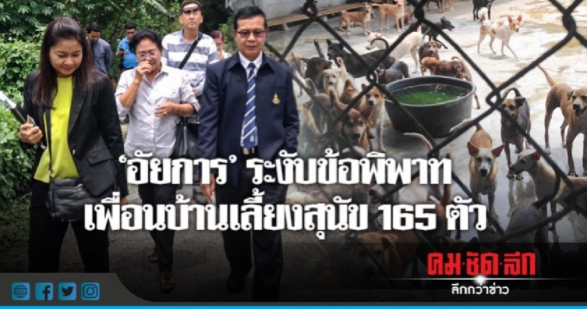 อัยการจังหวัดคุ้มครองสิทธิฯ ยะลา ช่วยจบปัญหาสุนัข 165 ตัว อัยการจังหวัดคุ้มครองสิทธิฯ ยะลา ช่วยจบปัญหาสุนัข 165 ตัว