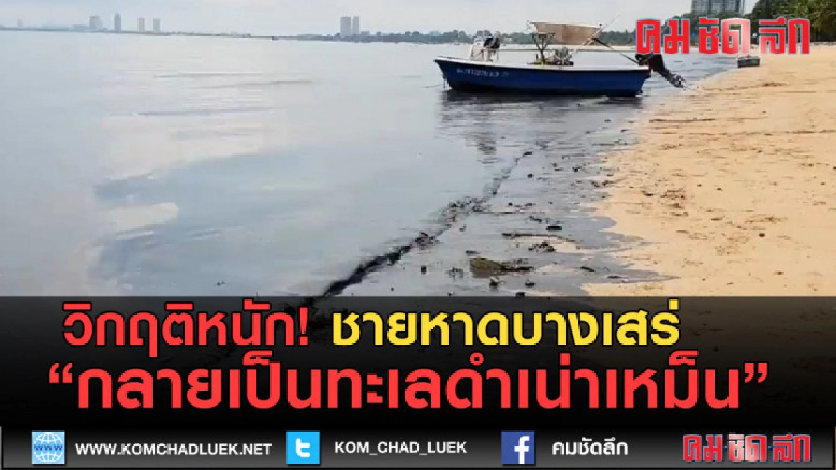 (คลิปข่าว) วิกฤติหนัก! ชายหาดบางเสร่ กลายเป็นทะเลดำเน่าเหม็น