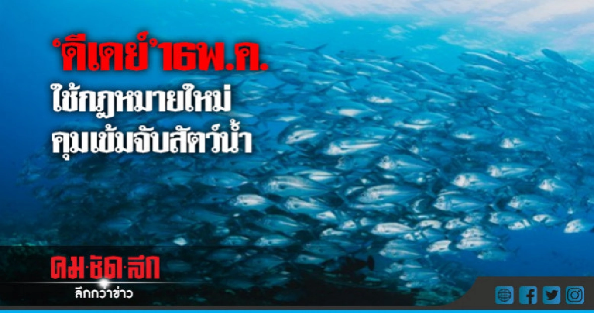 ประมง"ดีเดย์ "16 พ.ค.ใช้กม.ใหม่คุมเข้มจับสัตว์น้ำ !!! ประมง"ดีเดย์ "16 พ.ค.ใช้กม.ใหม่คุมเข้มจับสัตว์น้ำ !!!