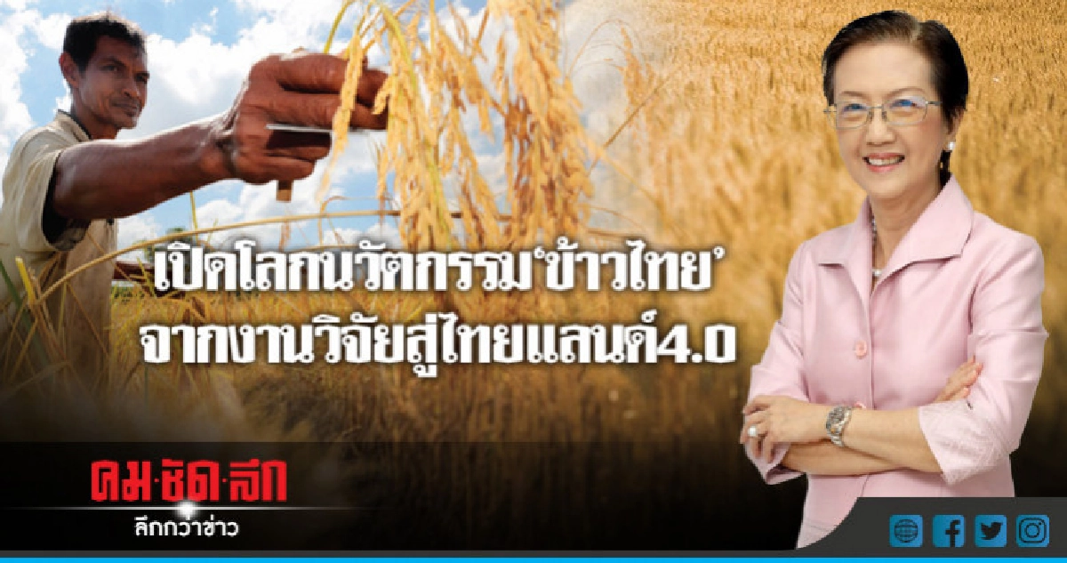 เปิดโลกนวัตกรรม"ข้าวไทย" จากงานวิจัยสู่ไทยแลนด์4.0 เปิดโลกนวัตกรรม"ข้าวไทย" จากงานวิจัยสู่ไทยแลนด์4.0