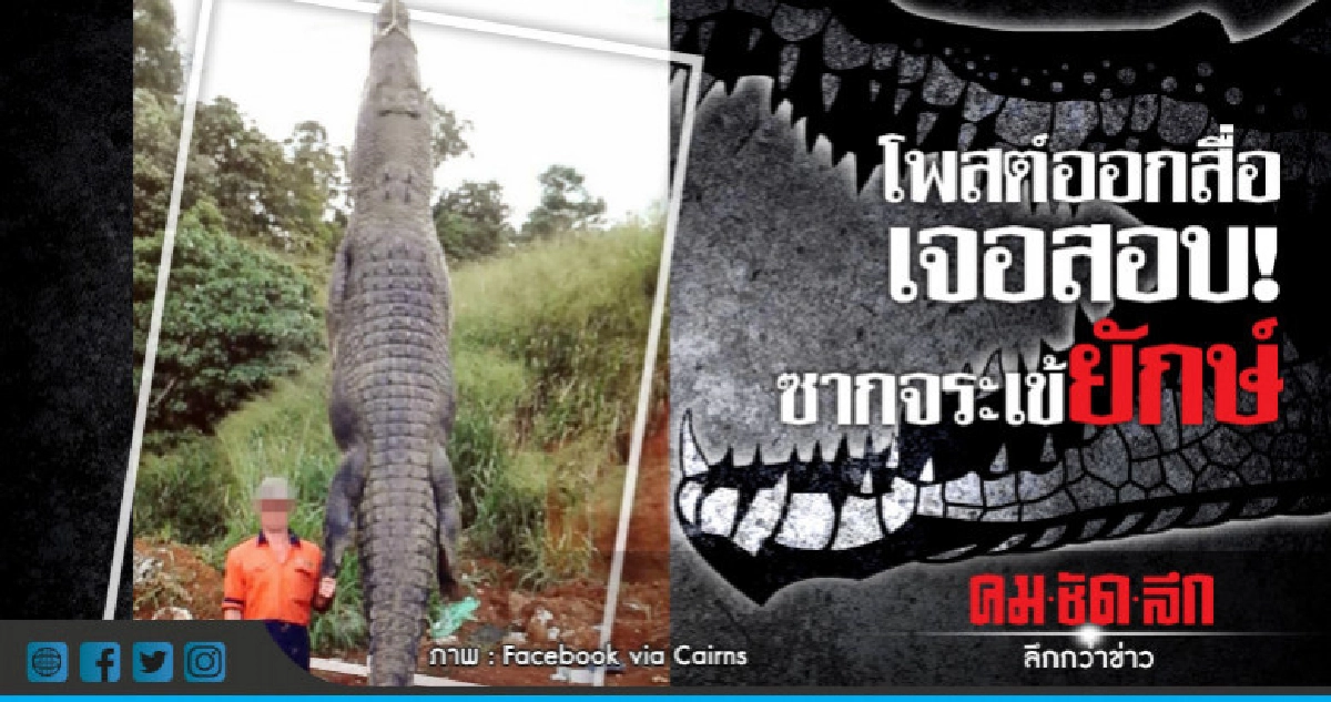  ใครฆ่า! ออสเตรเลียสอบที่มาซากจระเข้ 