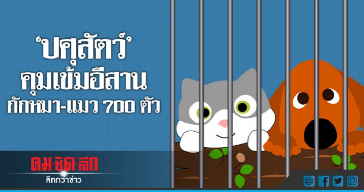 "ปศุสัตว์"คุมเข้มสุนัขบ้าระบาดอีสานกักหมา-แมว 700 ตัว