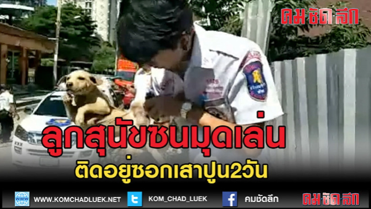 (คลิปข่าว)ช่วยลูกสุนัขซนมุดเล่นจนตัวไปติดอยู่ซอกเสาปูน2วัน