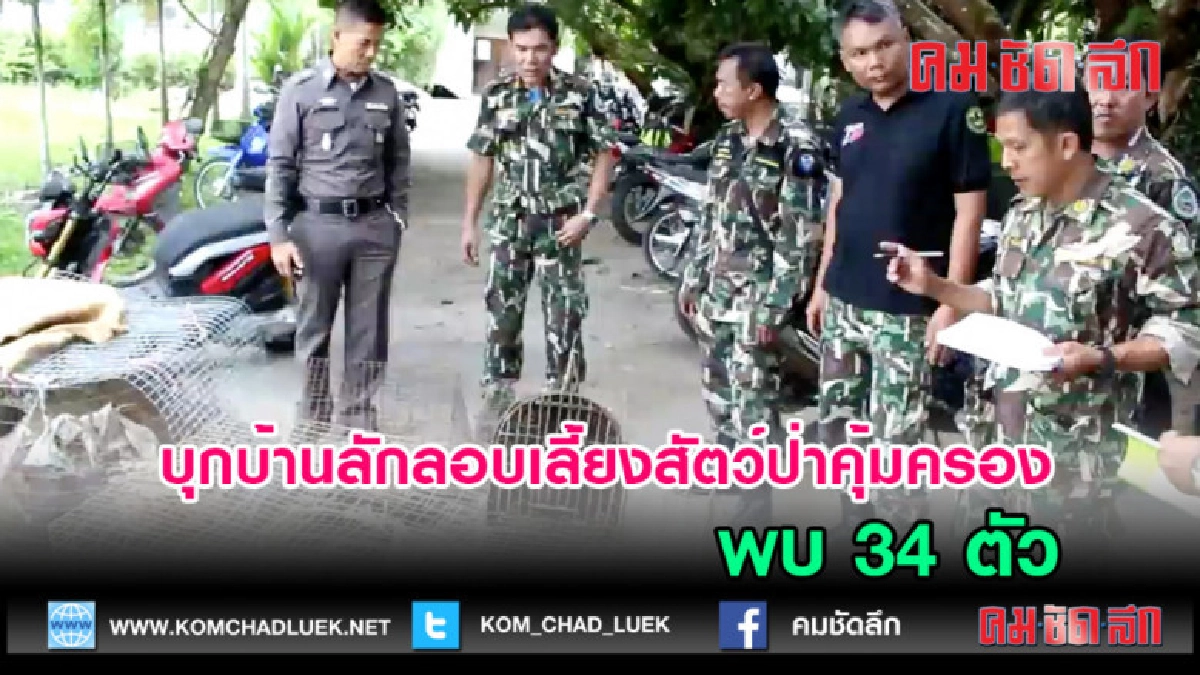 (คลิปข่าว)บุกบ้านลักลอบเลี้ยงสัตว์ป่าคุ้มครอง พบ 34 ตัว (คลิปข่าว)บุกบ้านลักลอบเลี้ยงสัตว์ป่าคุ้มครอง พบ 34 ตัว