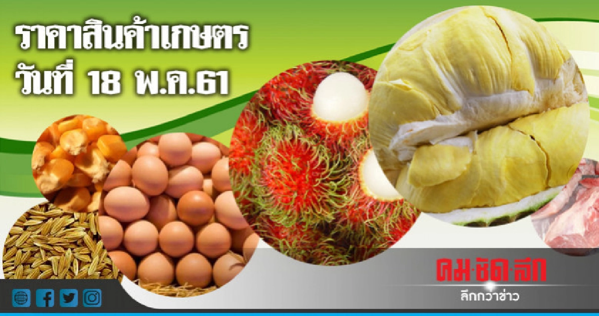 ราคาสินค้าเกษตรประจำวันที่ 18 พฤษภาคม 2561 ราคาสินค้าเกษตรประจำวันที่ 18 พฤษภาคม 2561