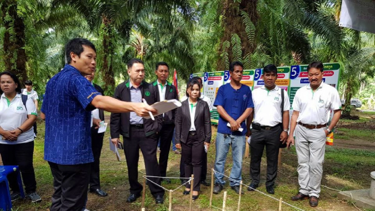 หนุนเกษตรกรเรียนรู้เทคโนโลยีผลิตปาล์มน้ำมัน