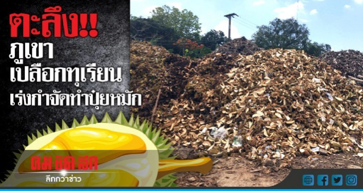 ตะลึง!! ภูเขาเปลือกทุเรียน เร่งกำจัดทำปุ๋ยหมัก ตะลึง!! ภูเขาเปลือกทุเรียน เร่งกำจัดทำปุ๋ยหมัก