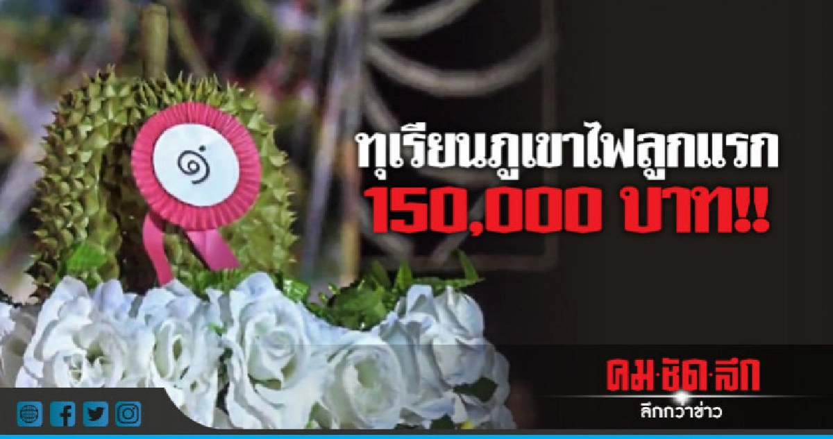 ประมูลทุเรียนภูเขาไฟลูกแรก 1.5 แสนบาท