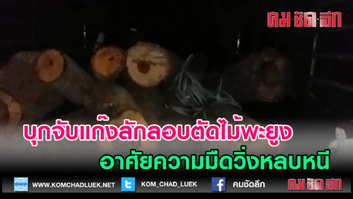 (คลิปข่าว) บุกจับแก๊งลักลอบตัดไม้พะยูงอาศัยความมืดวิ่งหลบหนี