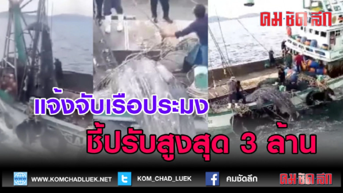 (คลิปข่าว) แจ้งจับเรือประมงล่าฉลามวาฬ ชี้ปรับสูงสุด 3 ล้าน