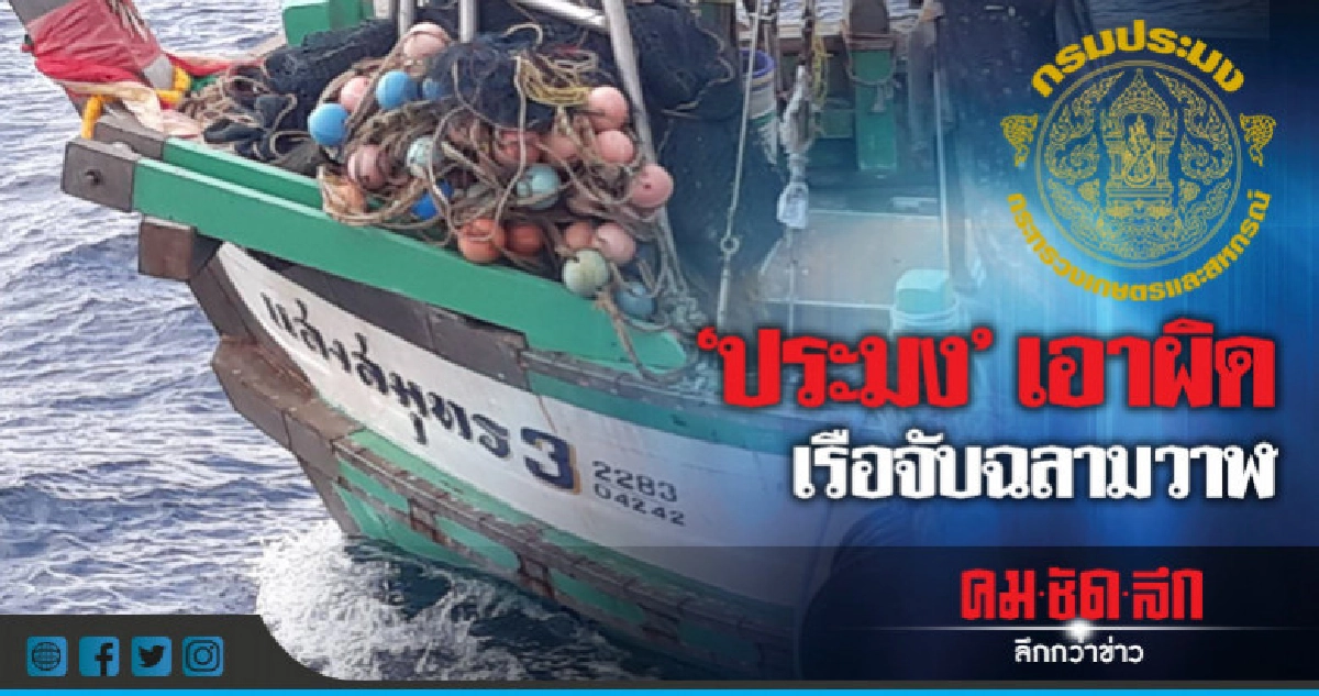 "กรมประมง"เอาผิดเรือจับฉลามวาฬ "กรมประมง"เอาผิดเรือจับฉลามวาฬ