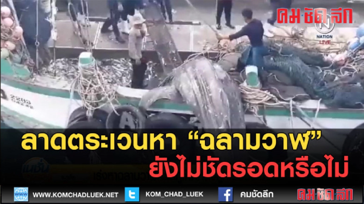 (คลิปข่าว) ลาดตระเวนหา ฉลามวาฬ ยังไม่ชัดรอดหรือไม่ (คลิปข่าว) ลาดตระเวนหา ฉลามวาฬ ยังไม่ชัดรอดหรือไม่