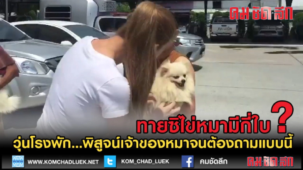 (คลิปข่าว) วุ่นโรงพัก...พิสูจน์เจ้าของหมาจนต้องถามแบบนี้