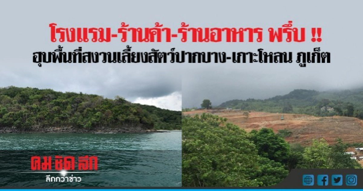 ป.ป.ท.ลุยสอบฮุบทุ่งเลี้ยงสัตว์ภูเก็ต ผุดโรงแรม
