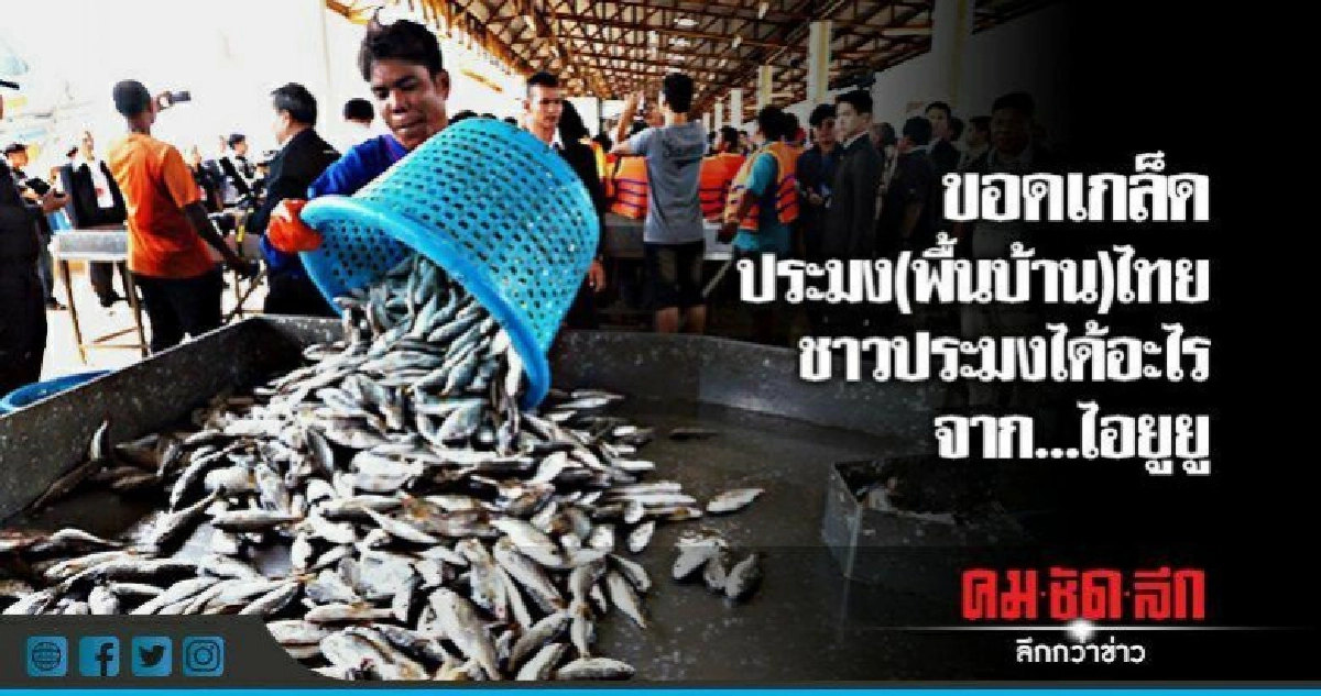 ขอดเกล็ดประมง(พื้นบ้าน)ไทย! ขอดเกล็ดประมง(พื้นบ้าน)ไทย!