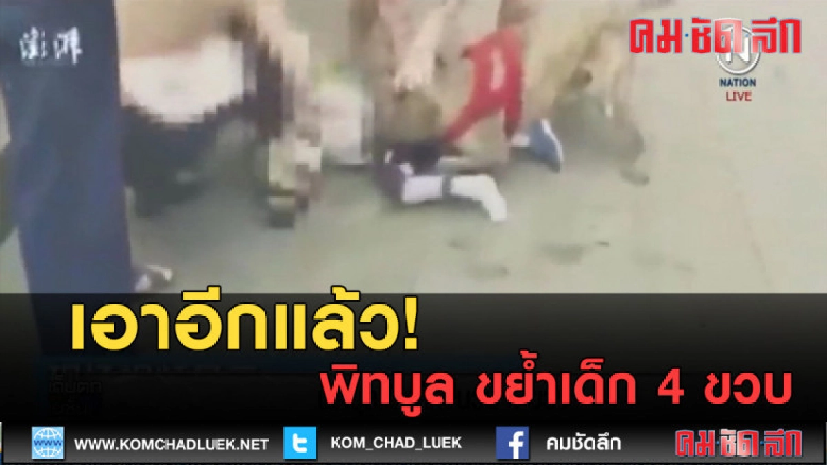(คลิปข่าว) พิทบูล ขย้ำเด็ก 4 ขวบ (คลิปข่าว) พิทบูล ขย้ำเด็ก 4 ขวบ