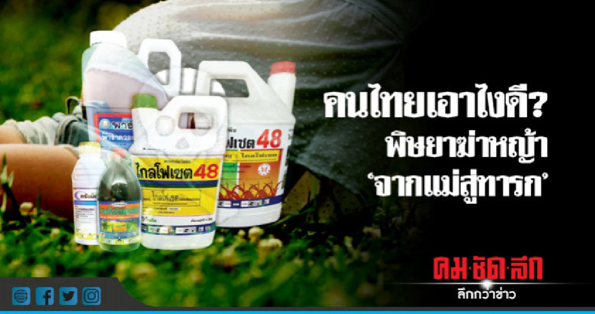 คนไทยเอาไงดี ? พิษยาฆ่าหญ้า "จากแม่สู่ทารก"