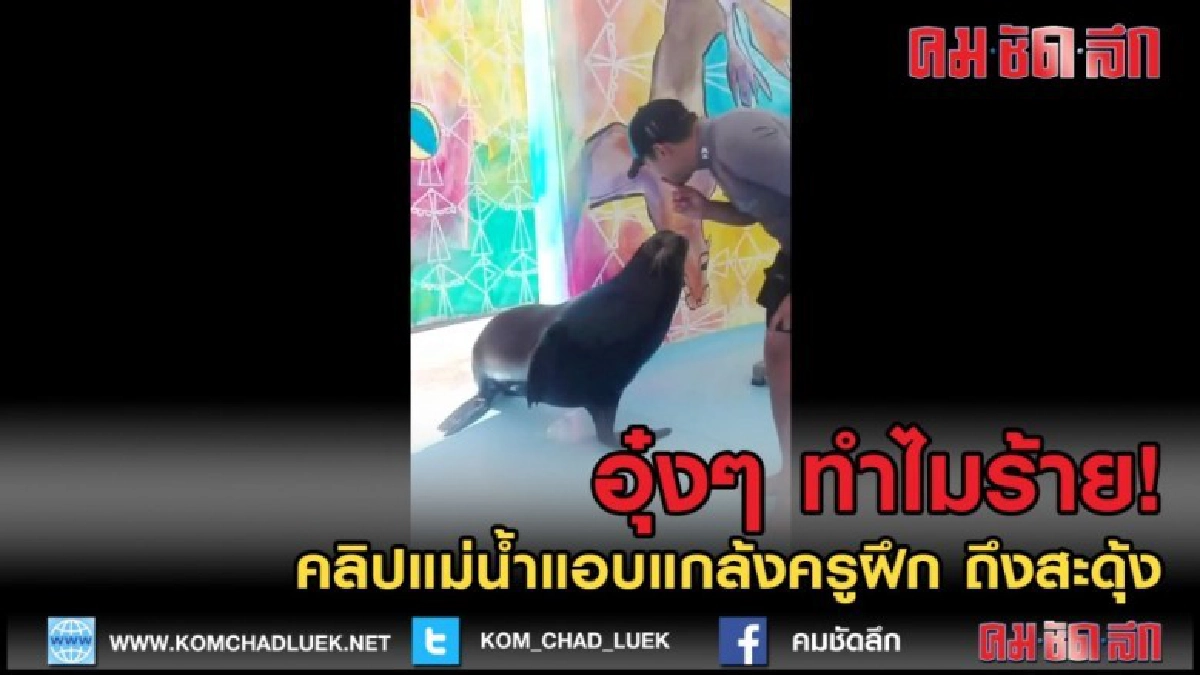 (คลิปข่าว) ร้ายนักนะ อุ๋งๆ ทำไมถึงร้ายแบบนี้