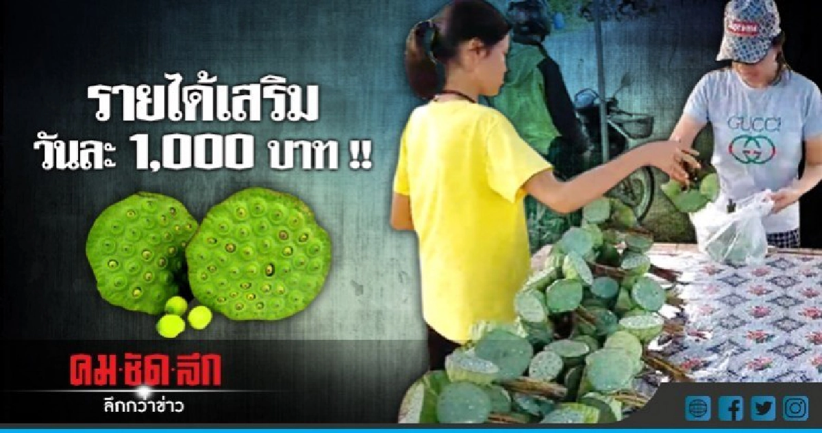 เก็บฝักบัวสดขายสร้างรายได้เสริมวันละ 1,000